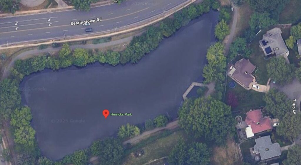 Herricks Park
