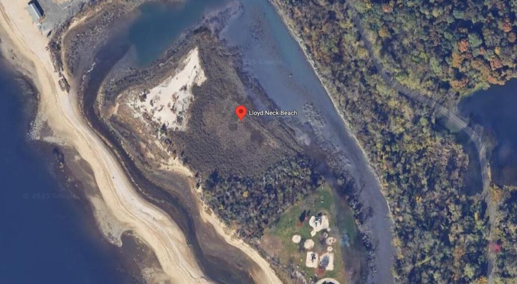 Lloyd Neck Beach