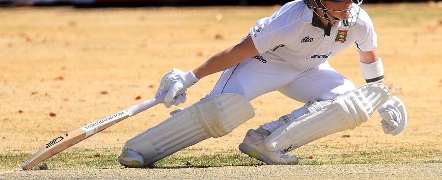 Cricket