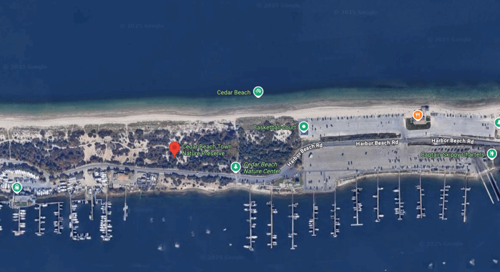 Cedar Beach Town Nature Preserve